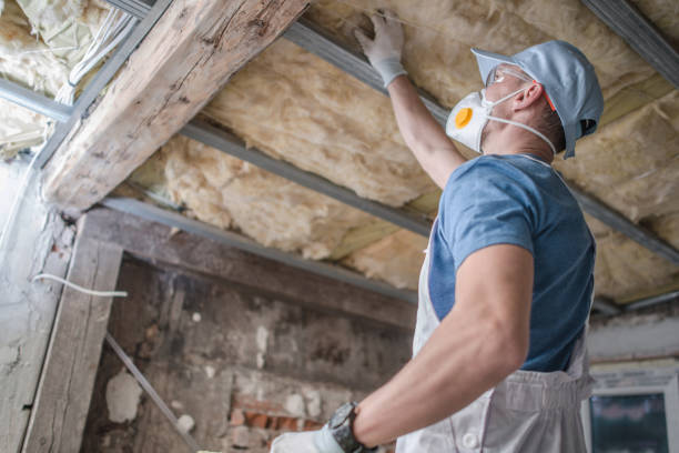 Best Cellulose Insulation in Howards Grove, WI